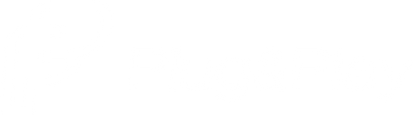 Plug and Play